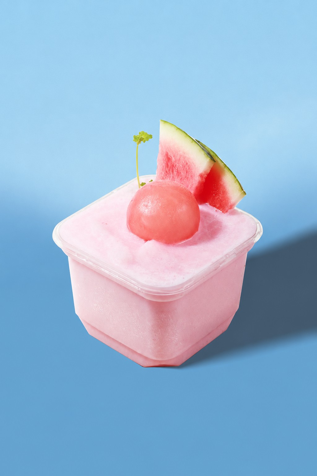Watermelon coconut dessert bowl topped with ice cream and watermelon slices