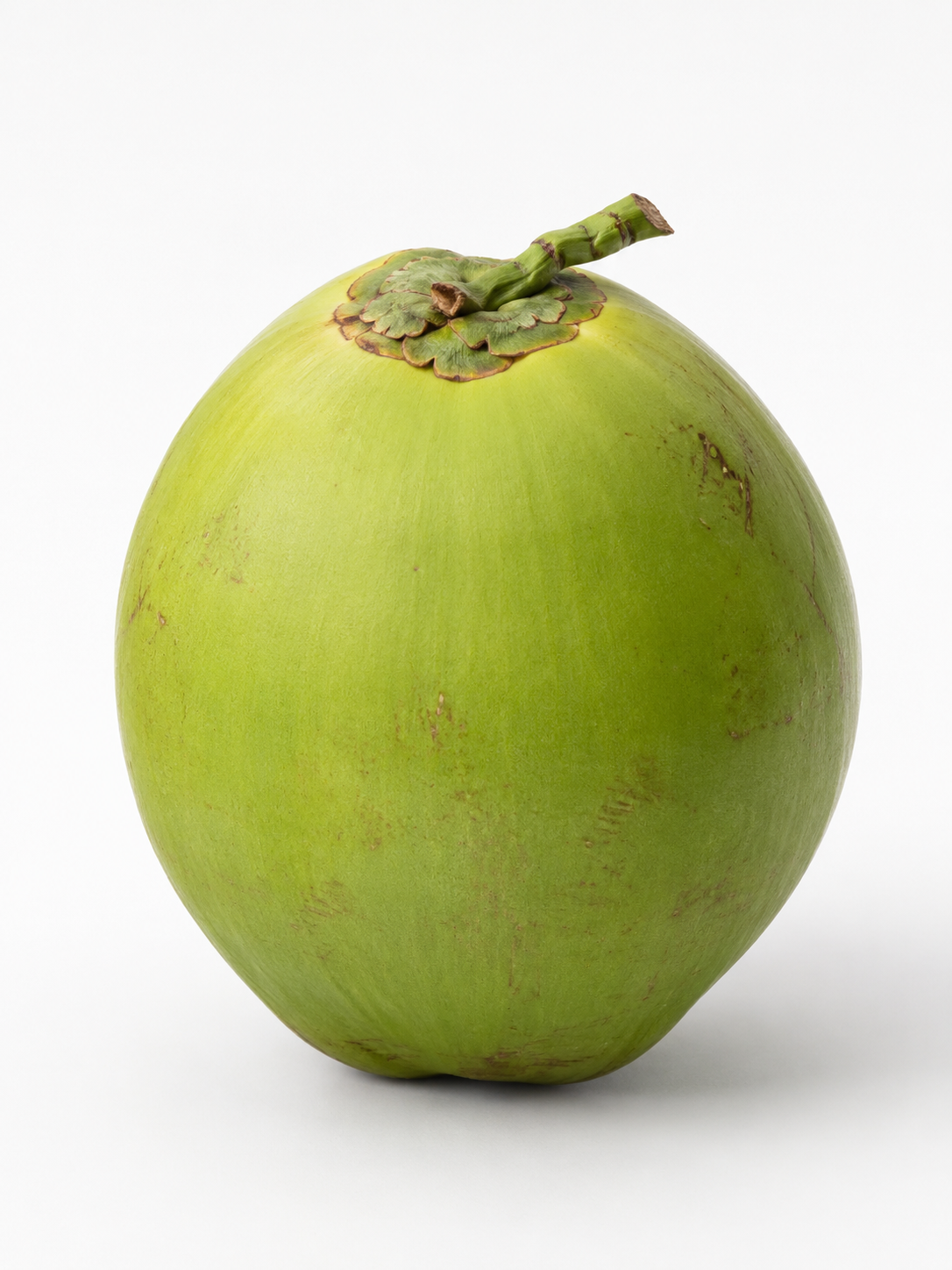 Fresh whole green Thai Nam Hom young coconut