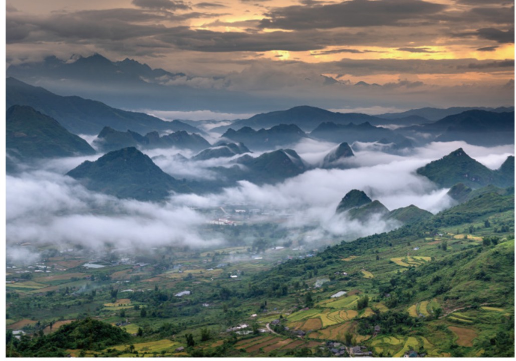 Cloud-covered Guizhou highland tea gardens